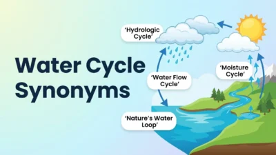 Water Cycle Synonyms